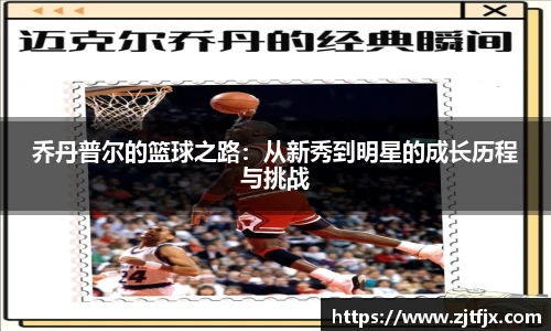 芒果体育官网入口