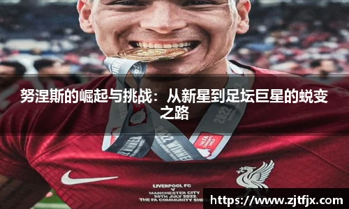 芒果体育官网入口